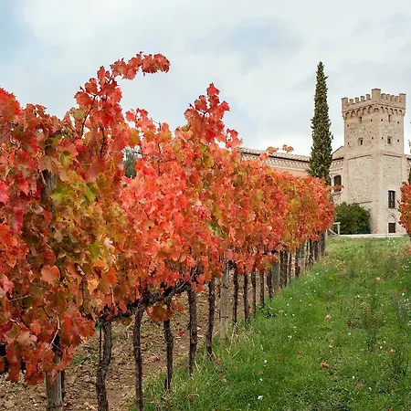 Holiday home Podere Fonte Sala 104s