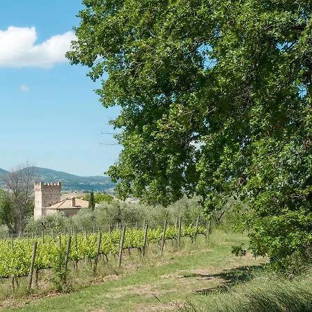 Сasa de vacaciones Podere Fonte Sala 104s
