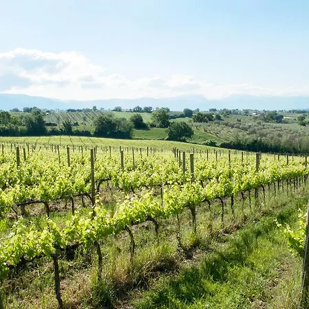 Podere Fonte Sala 104s