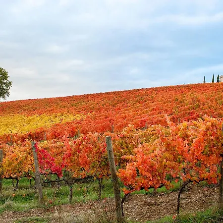 Podere Fonte Sala 104s *